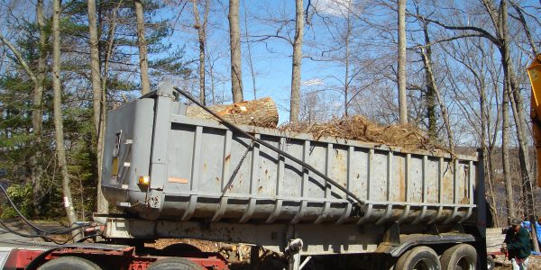 Land Clearing, Landscaping & Tree Removal