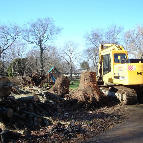 Land Clearing, Landscaping & Stump Removal